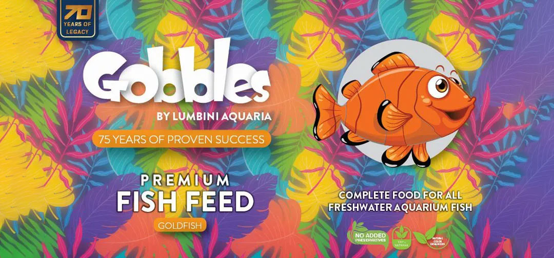 fish-feed